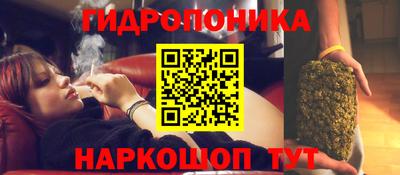 прущие грибы Ипатово