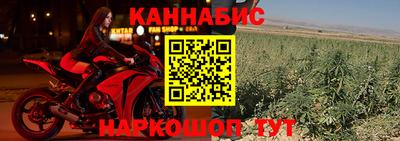 прущие грибы Ипатово