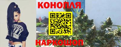 стаф Камышлов