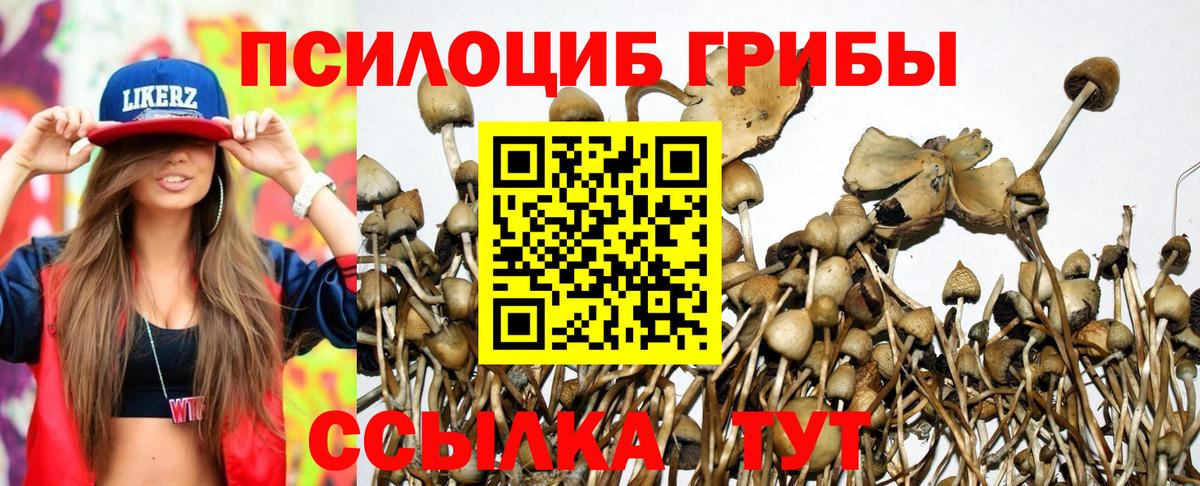 Галлюциногенные грибы прущие грибы  Псилоцибиновые грибы прущие грибы  Вход с VPN  Кстово 
